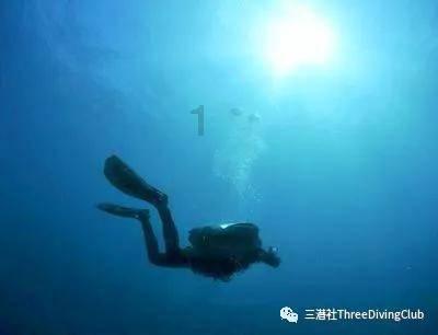 大遗址森林逃生